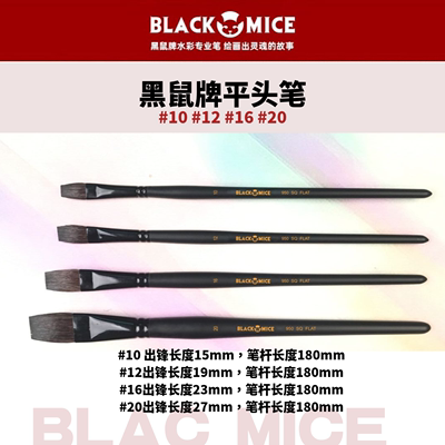 blackmice黑鼠牌平头平形钢管