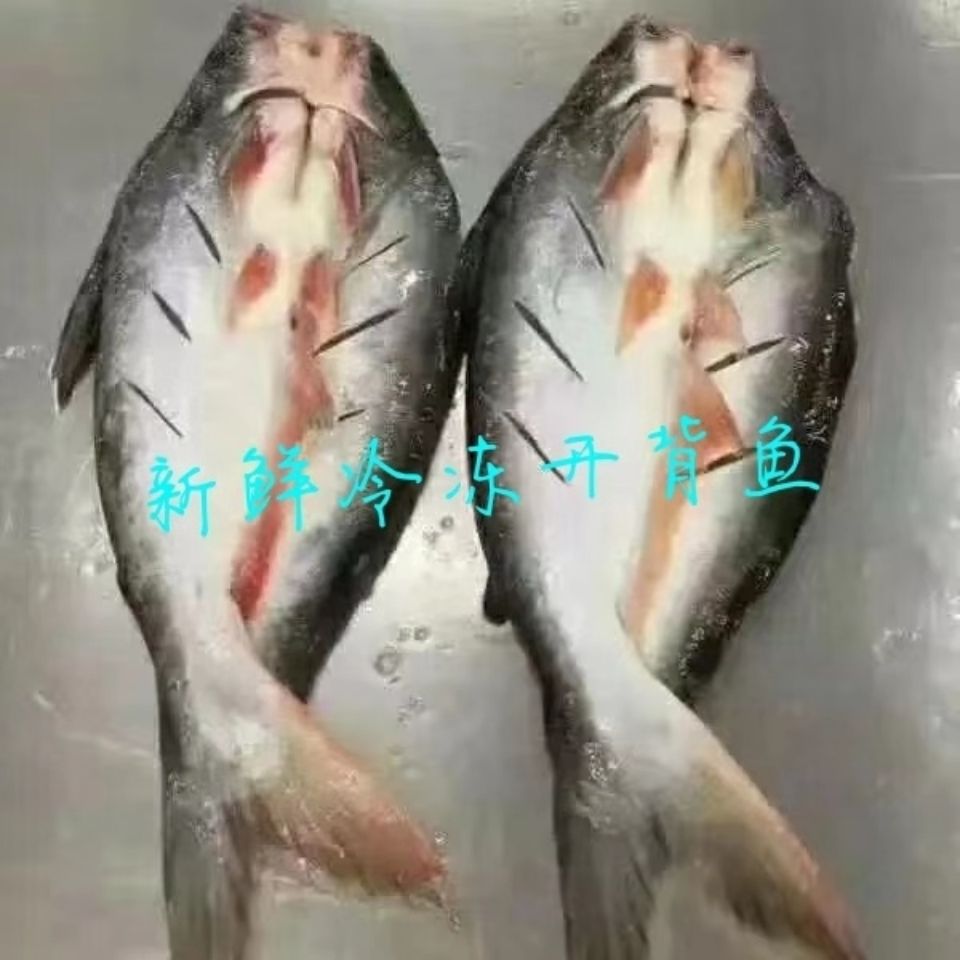 新鲜冷冻带皮开背鱼湄公鱼生鲜水产巴沙鱼15斤1箱8/11条随机发货