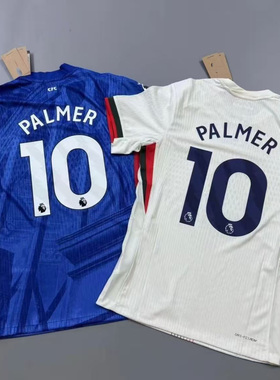 25/26 Chelsea Soccer Jersey Football T-Shirts TORRES LAMPARD