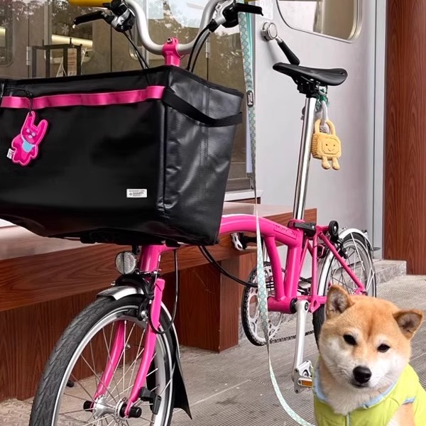 镜子动物园车头菜篮子包防水