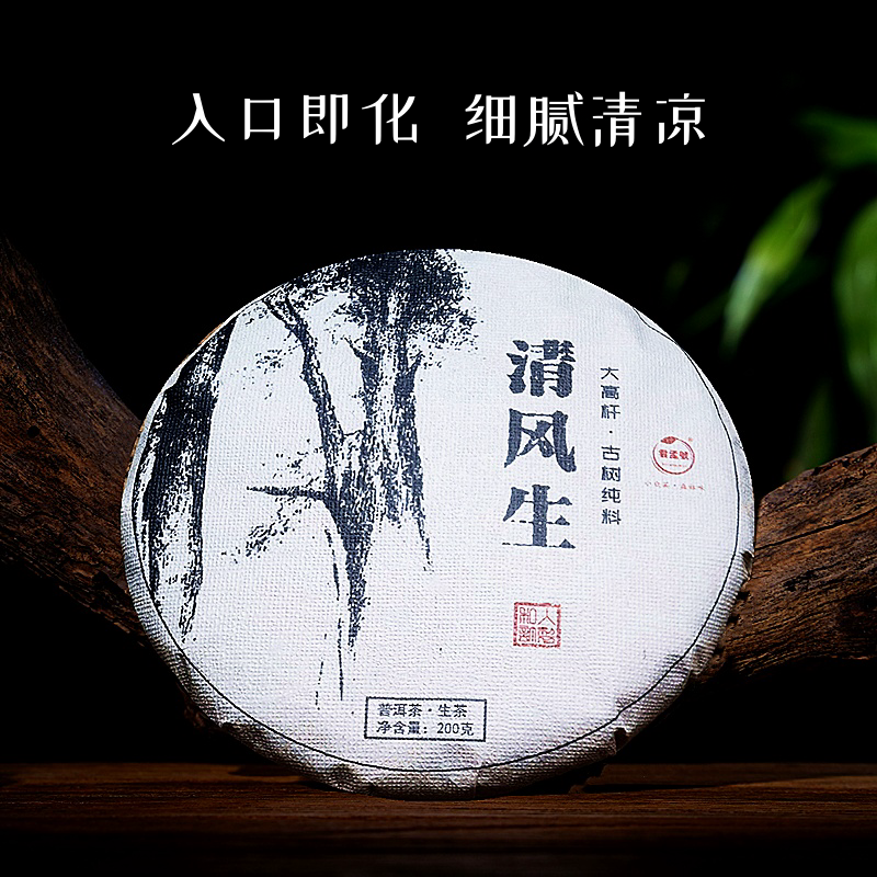 原始森林特大高杆古树云南普洱茶