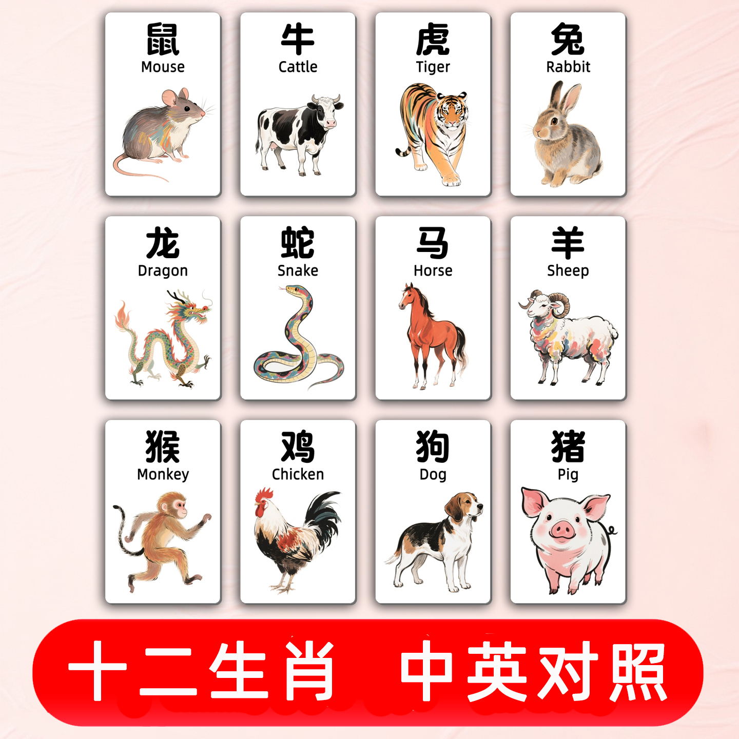 12生肖拼音英语启蒙卡贴