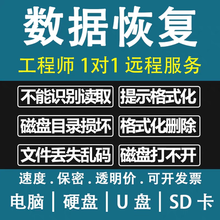 电脑移动硬盘数据恢复U盘相机卡sd卡提示格式化raw误删除远程修复