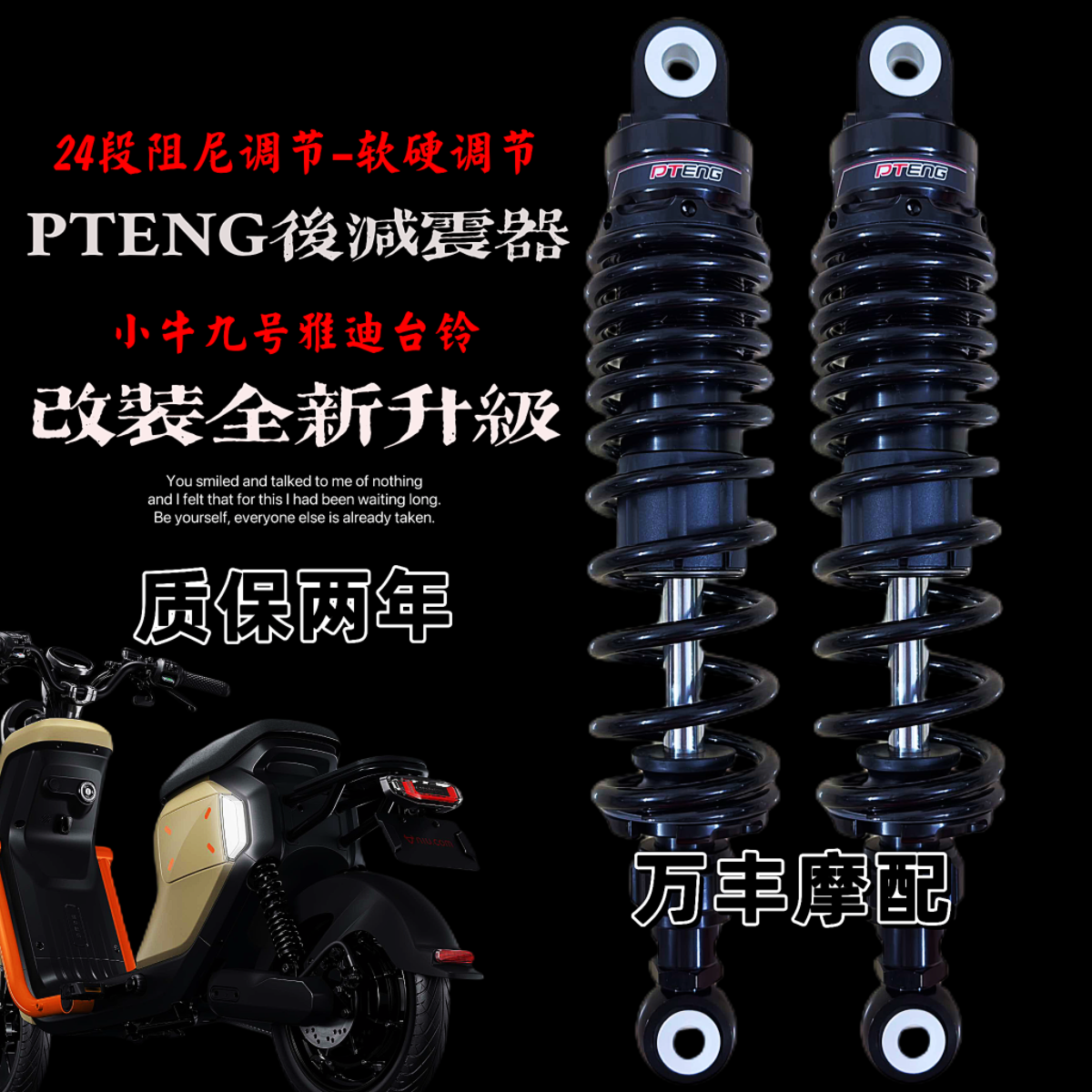 小牛U2U+B九号M95C雅迪台铃009