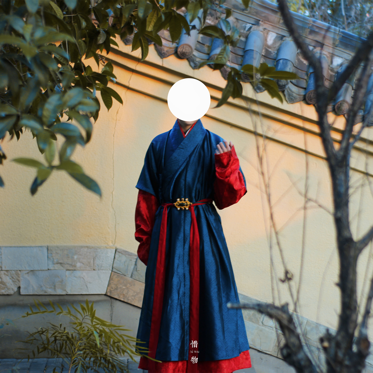 惜物国风明制汉服打褶窄袖搭护