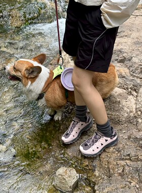 SALOMON萨洛蒙 ALHAMA 舒适百搭 溯溪鞋 男女同款 灰色