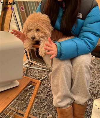 TheNorthFace北面羽绒服