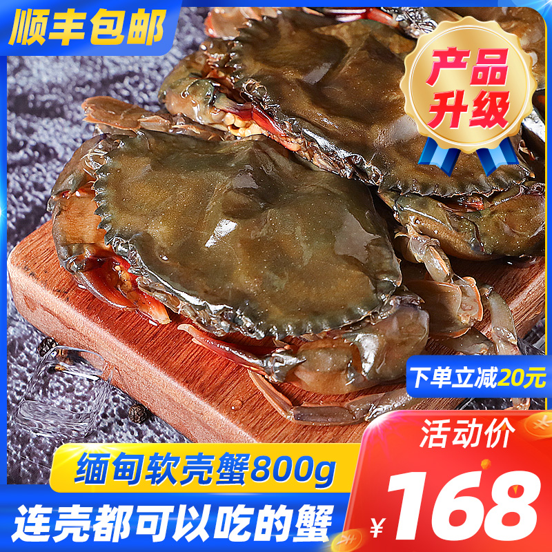 缅甸软壳蟹原装进口青蟹800g/盒8只冷冻螃蟹梭子蟹顺丰包邮 水产肉类/新鲜蔬果/熟食 青蟹 原图主图