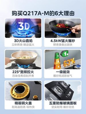 Midea/美的 Q216B