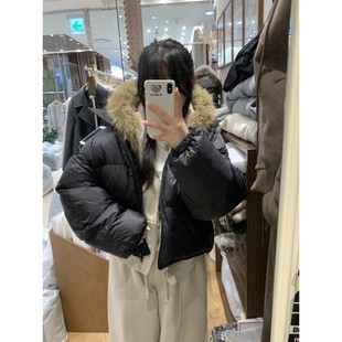 八1216韩国东大门套装 气质通勤 区4543170直邮街头人气高档春季