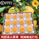 湖南怀化高山红心锦绣黄桃大果洪江安江新鲜水果非麻阳桃10斤顺丰