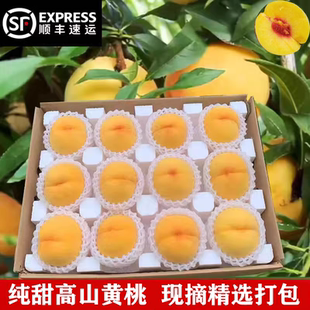 湖南怀化高山红心锦绣黄桃大果洪江安江新鲜水果非麻阳甜脆桃顺丰