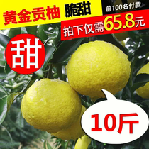 高山黄金贡柚湖南怀化雪乡小叶贡柚当季新鲜10斤丑八怪春香桔柚