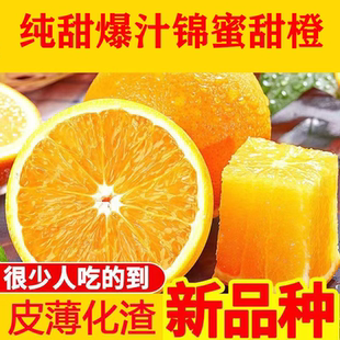 正宗锦蜜冰糖橙湖南怀化麻阳高山冰糖橙纯甜无酸当季新鲜多汁甜橙