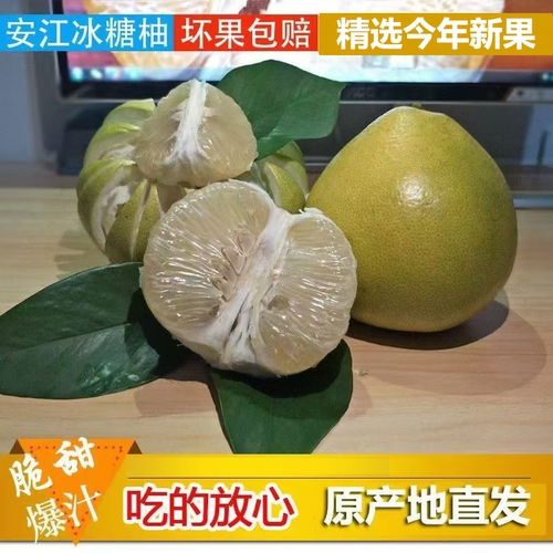 湖南怀化安江雪峰爆汁老树冰糖柚