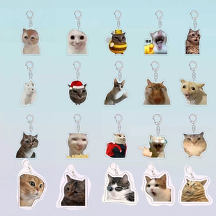 抖音爆火猫meme挂件钥匙扣搞怪抽象委屈对话小猫表情包挂件