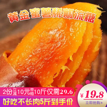 烟薯25新鲜番红薯烤地瓜沙地农家自种糖心超甜 真阜新黄金蜜薯5斤