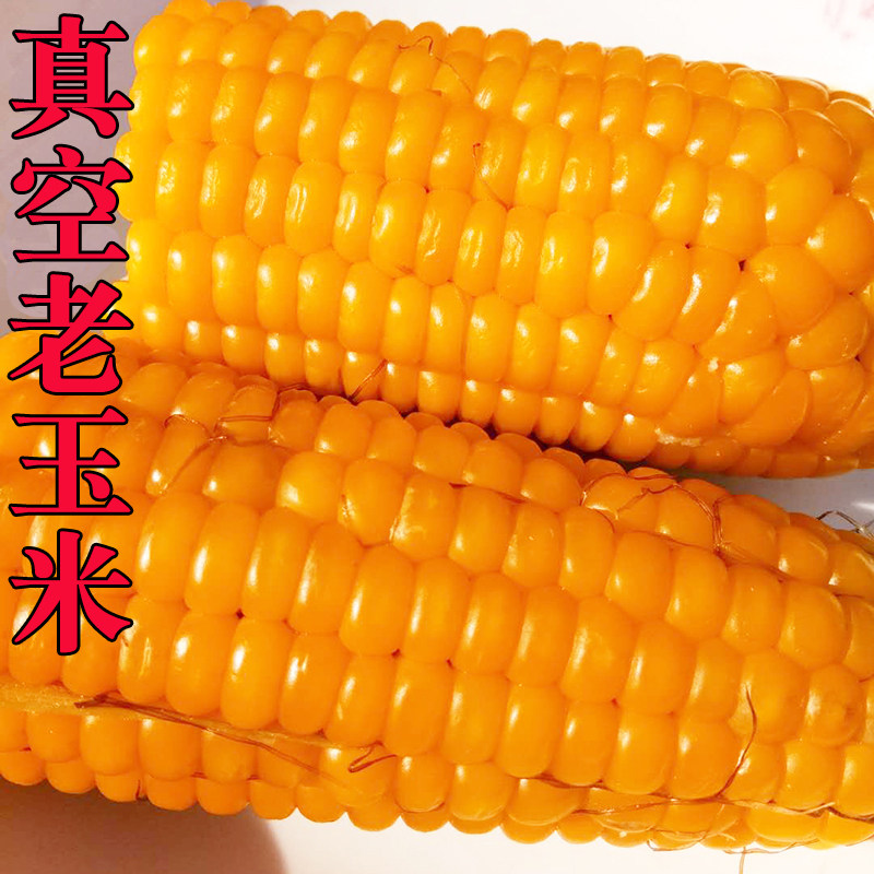 真空熟的老笨玉米棒嫩黄农家低脂无糖代餐孕妇健身有嚼劲粗粮减