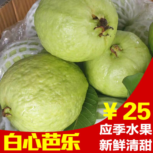 漳州白心芭乐番石榴新鲜