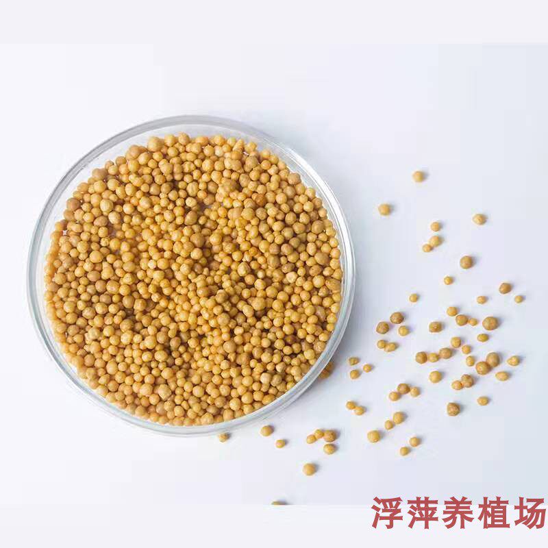 水草缸缓释粒粒肥长效懒人