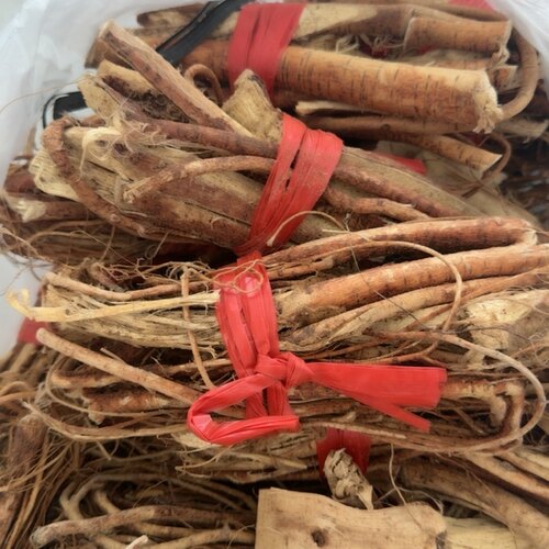 缅甸纯正天然野生五指毛桃中缅边境特产