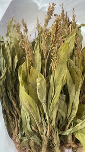 缅甸纯正天然见血清中草药中缅边境特产