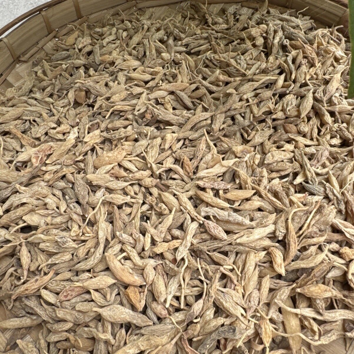 缅甸野生麦冬纯正天然麦门冬中缅边境特产