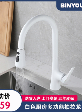 厨房白色简约多功能黄铜抽拉龙头水槽洗菜盆龙头冷热枪灰刮洗龙头
