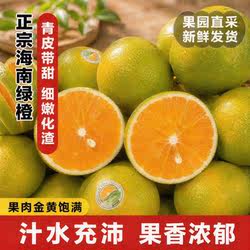 海南热带雨林孕育琼中绿橙青绿果皮现摘直发一口尝到海南清甜风味