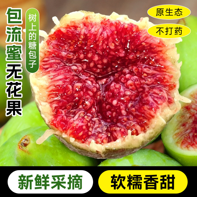 正宗芭劳奈威海青皮无花果鲜果现摘特大果应季特产新鲜整箱顺丰