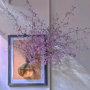 【顺丰空运】新鲜唐松草紫色浪漫灵动小众花材云南昆明基地直发