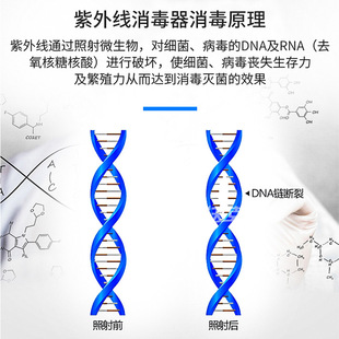 鱼池除藻 泳池设备 泳池杀菌器 杀藻 泳池消毒设备 紫外线杀菌器