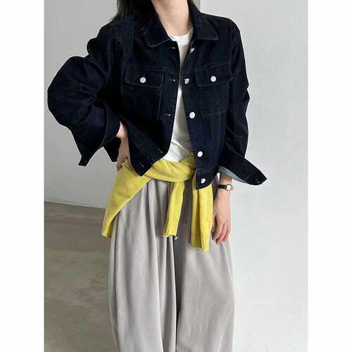 加厚植绒牛仔100棉复古经典翻领牛仔短外套女秋通勤上衣99063