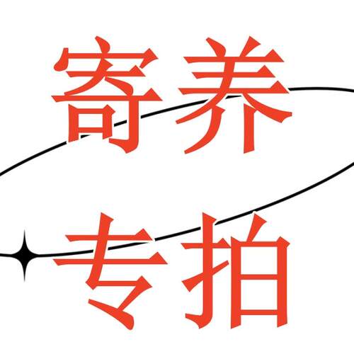 寄养专拍蝴蝶兰西雷利