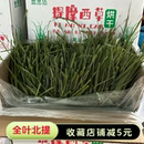 岷县25年头茬5A烘干提摩西草7A精品草段北提干草兔兔荷兰猪主粮