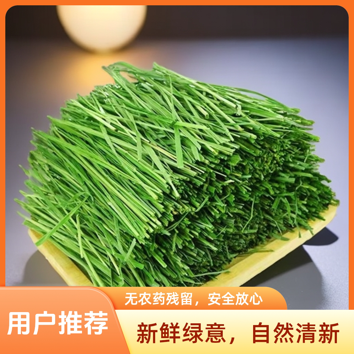 岷草优【多叶】新草烘干提摩西草箱装兔兔干草岷县草场发货图片