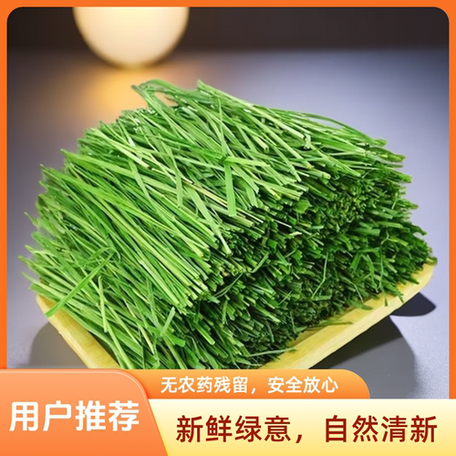 岷草优【多叶】新草烘干提摩西草箱装兔兔干草岷县草场发货
