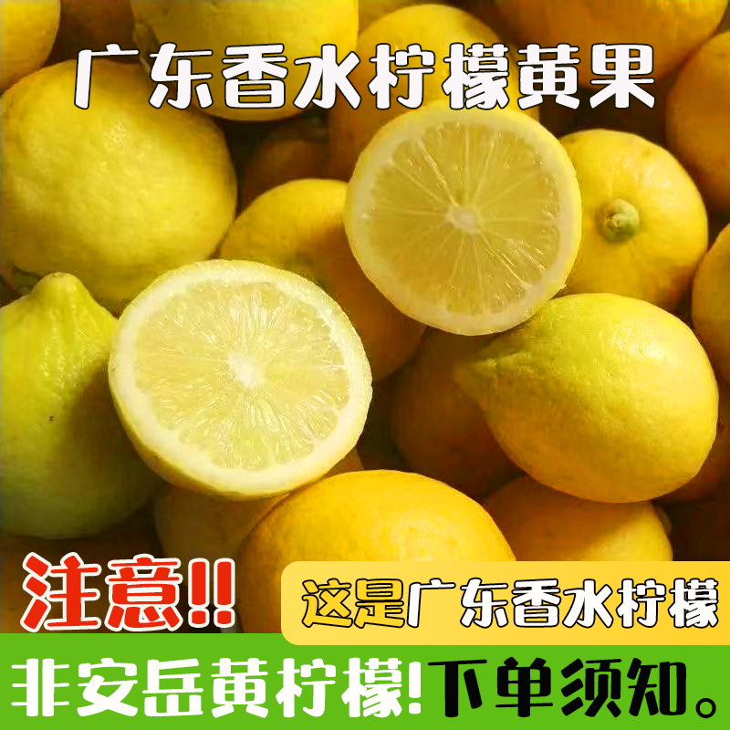 广东香水柠檬黄果无籽黄柠檬