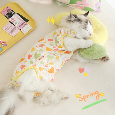 猫咪衣服薄款四脚全包护肚衣