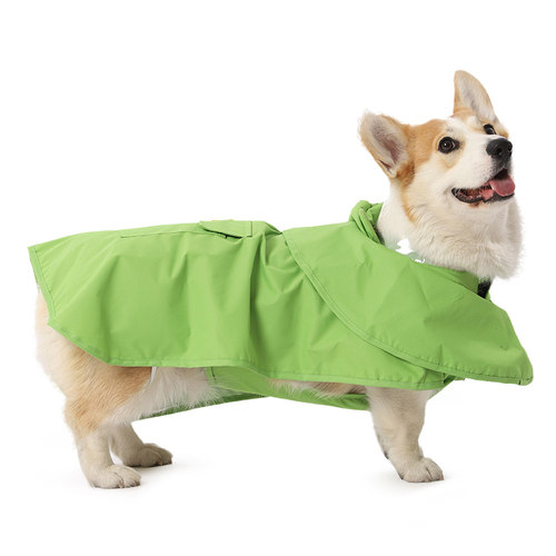 HOOPET狗狗可爱绿青蛙雨衣雨天外出防水防脏小型犬猫咪宠物雨衣