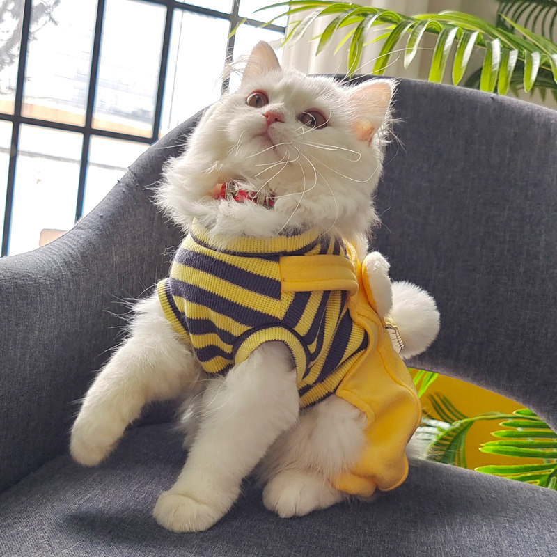 猫咪衣服冬季保暖防掉毛新年宠物猫猫可爱四脚布偶猫小猫冬天冬装