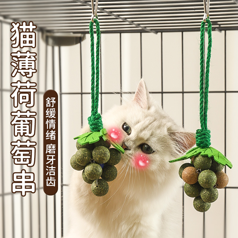 猫薄荷葡萄串舒缓情绪磨牙洁齿