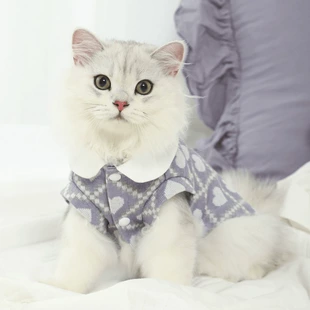 薄款 猫咪衣服防掉毛宠物冬季 蓝猫夏季 渐层春秋幼猫小猫猫猫布偶衣