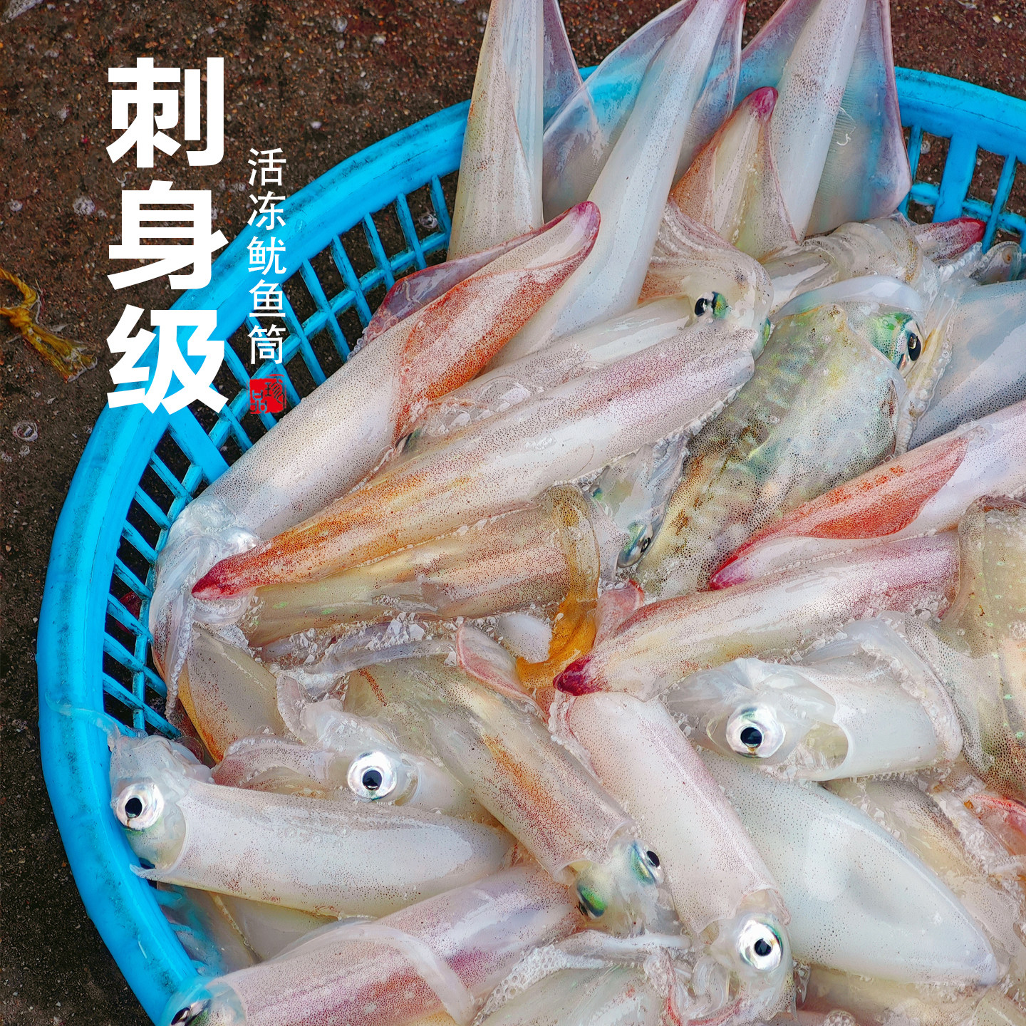 南澳刺身级手钓火箭鱿鱼新鲜活速冻大管特大生鲜海钓枪乌贼海鲜
