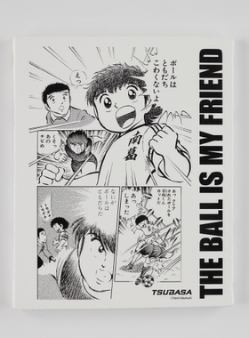 SFIDA天空之翼收藏纪念品翼画布画格SFIDA的翼透明作者：SFIDA