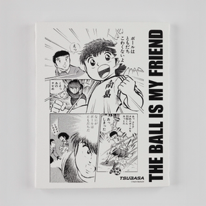 SFIDA天空之翼收藏纪念品翼画布画格SFIDA的翼透明作者：SFIDA