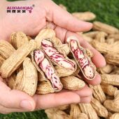 阿狸笑笑新货云南七彩花生水果花生孔雀花生种子带壳黑花生特产