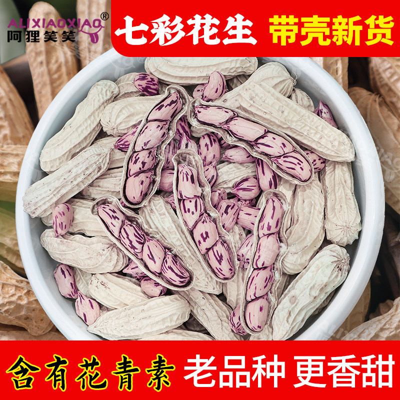 阿狸笑笑新货云南七彩水果花生及食休闲花生种子带壳特产即食新货