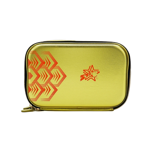 李宁乒乓球拍套新款专业比赛拍包硬壳收纳包国家队王楚钦同款双层