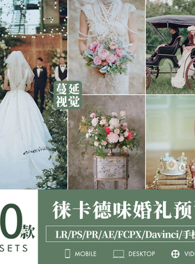 LR预设婚礼PS人像静物luts像素蛋糕滤镜PR达芬奇LUT飞思剪映FCPX